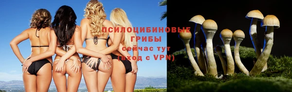 ешки Алзамай