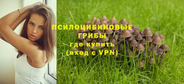 прущий лед Алексин